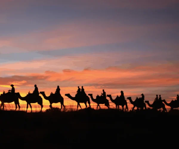 Camel Ride at Sunset with BBQ Dinner in Tamri